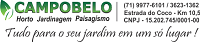 Logomarca de Campobelo Paisagismo