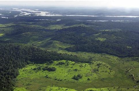 Método agrícola pode livrar a   Amazônia de ameaças ambientais