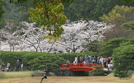 Ritsurin Koen, um belo jardim japonês