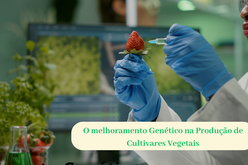 O melhoramento Genético na Produção de Cultivares Vegetais