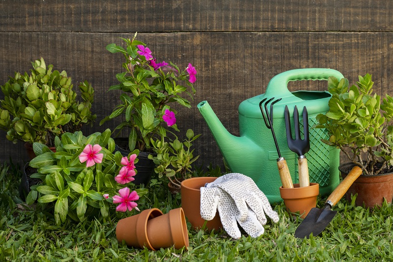  Plantas e ferramentas de jardinagem / Imagem de Freepick