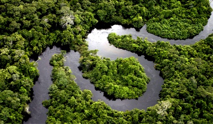 Amazônia e Cataratas do Iguaçu concorrem às Sete Maravilhas do Mundo