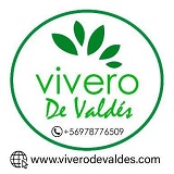 Logomarca de Vivero de Valdés