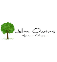 Logomarca de Allan Ourives