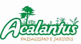 Logomarca de Pte Maciel Dist. de Flores & Jardins Ltda