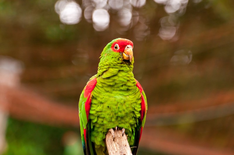 Image from Freepik