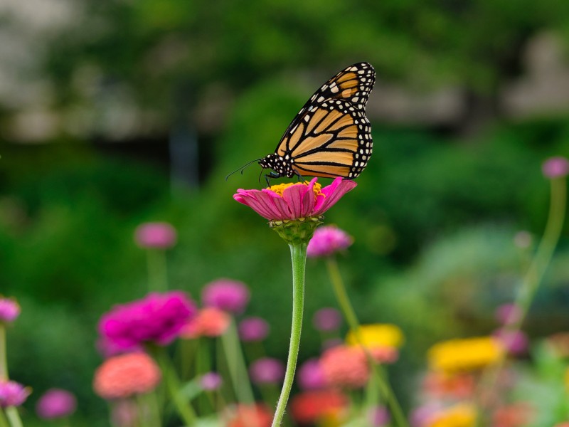 Image from Freepik Image from Freepik