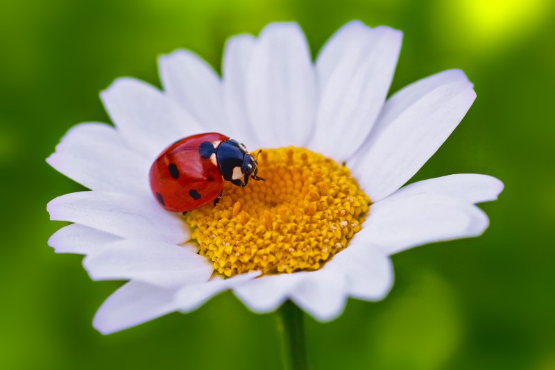 Image from Freepik Image from Freepik