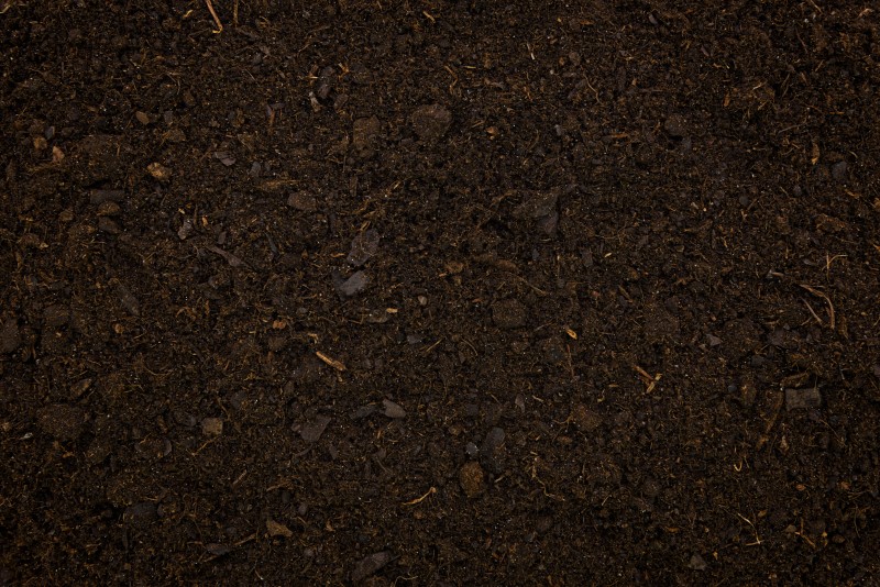 Image from Freepik Image from Freepik