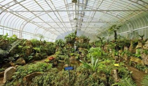 Livro fotográfico mostra as belezas do Jardim Botânico de São Paulo