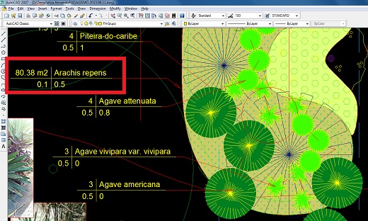 AutoLANDSCAPE: Entenda como o software trabalha com áreas