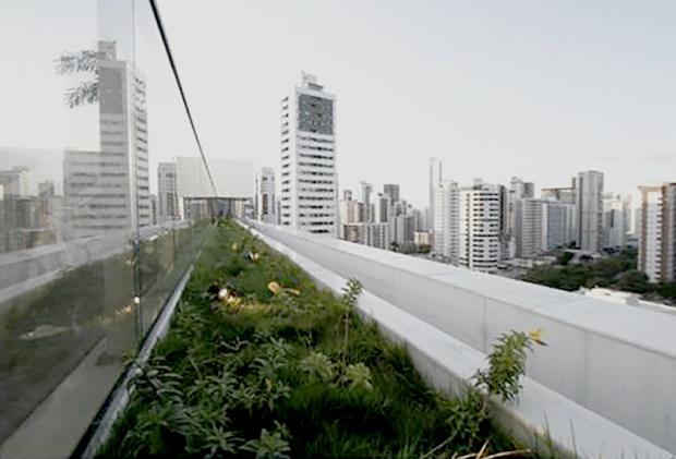 Lei do Telhado Verde em Recife