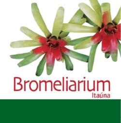 Os desafios no cultivo de bromélias: entrevista com Paulo Dantas - Bromeliarium Itaúna