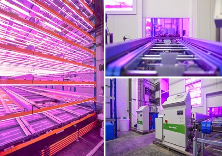 Fábricas automatizadas de plantas com luz artificial na Europa