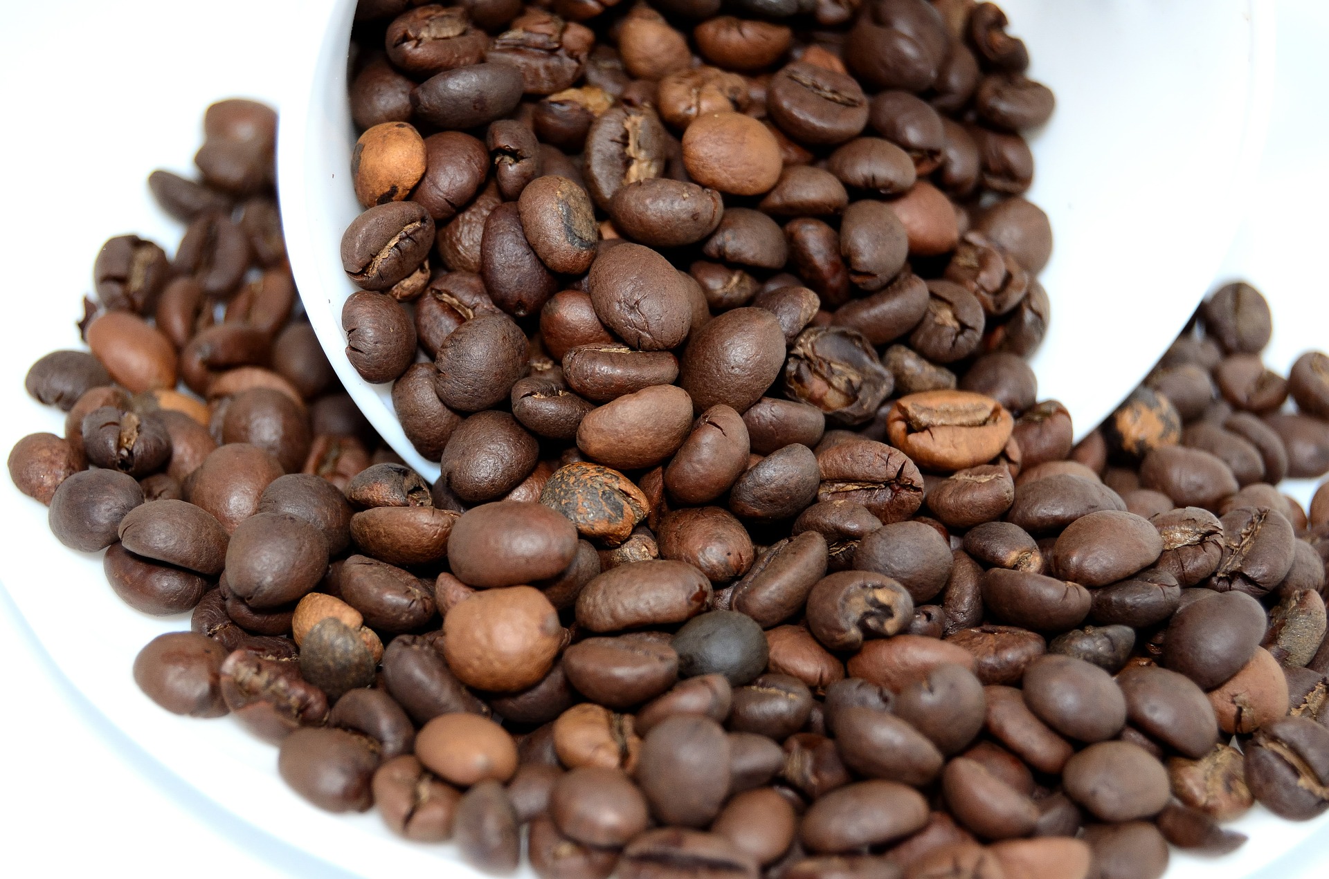 Estratégias de proteção das plantas mantêm produtividade nos cafezais