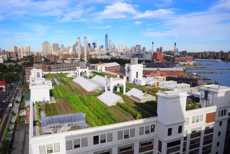  Brooklyn Grange Rooftop Farm, onde crescem frutas e legumes na cidade de Nova York