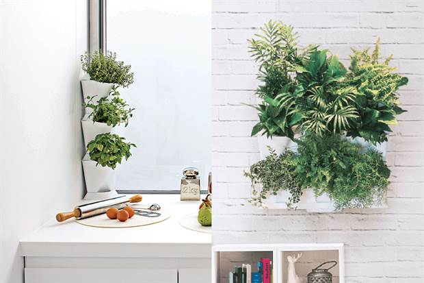 Opções ideais para ter plantas aromáticas, hortícolas e ornamentais em casa. Foto: Living / Arredo