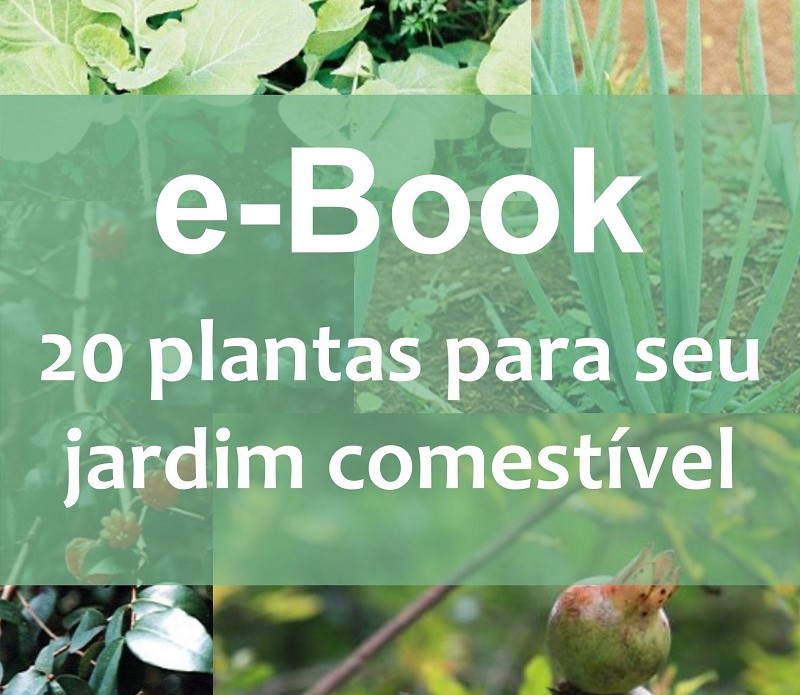 Clique aqui para baixar o e-book 20 Plantas comestiveis para os seu jardim