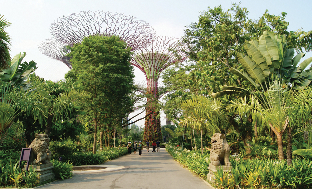 Treepedia, a possibilidade de encontrar a cidade mais verde do mundo