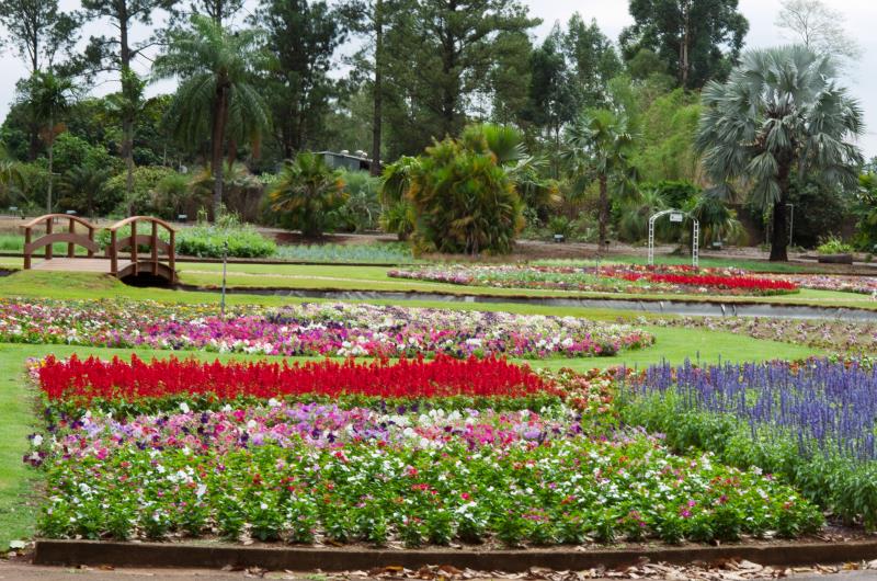 Um dos principais acervos do Brasil: Jardim Botânico Plantarum