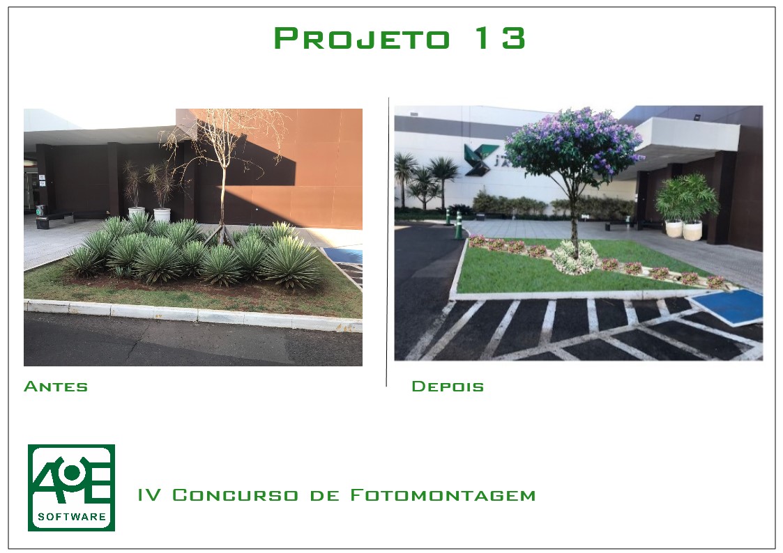 Projeto 13