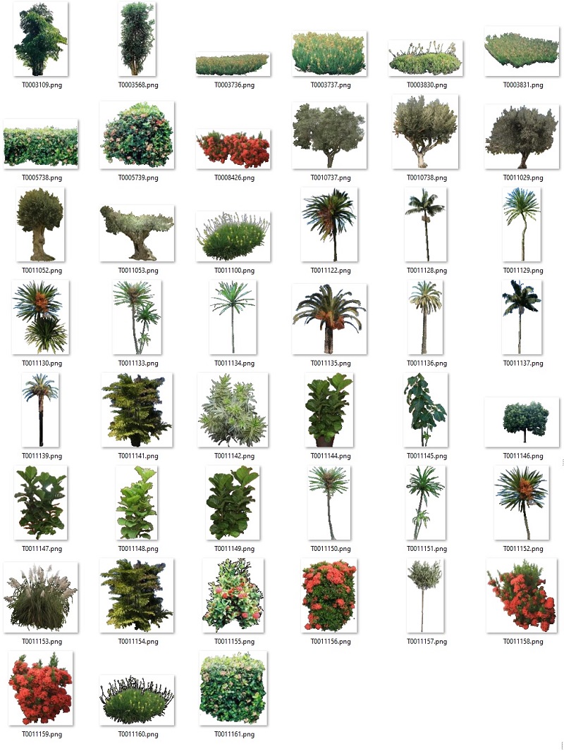 Coleção de mapas de plantas para download - Janeiro 2020