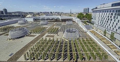 Imensa horta urbana sobre telhado é inaugurada em Paris