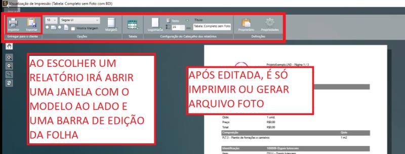 Editando a folha de Relatórios de Orçamento