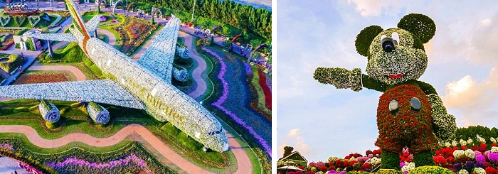 Escultura do Airbus 380 e do Mickey no Dubai Miracle Garden
