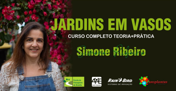 Curso "Jardim em Vasos", com Simone Ribeiro