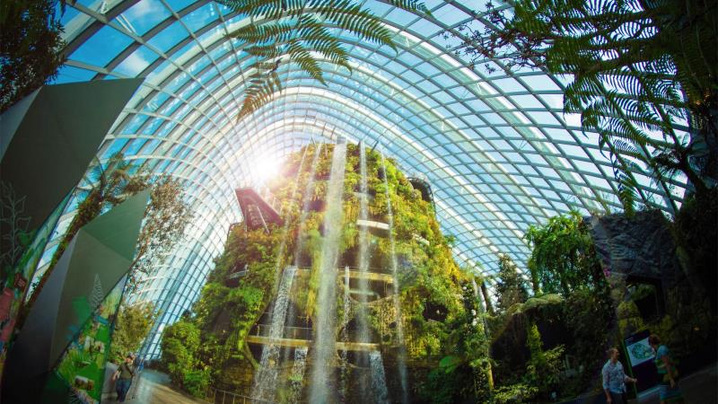 Cloud Forest - Gardens by the Bay