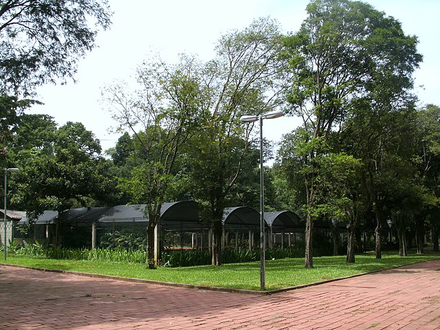 Oficinas para Paisagismo e Jardinagem do Campo Experimental do Parque Ibirapuera