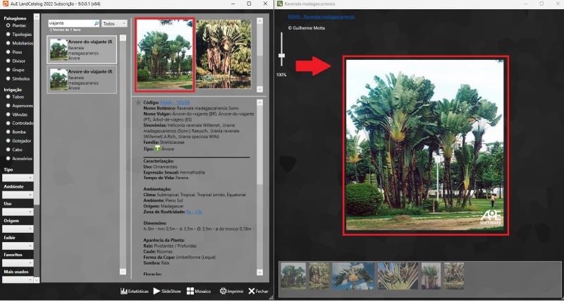 Visualização de fotos em variados tamanhos no catálogo do software