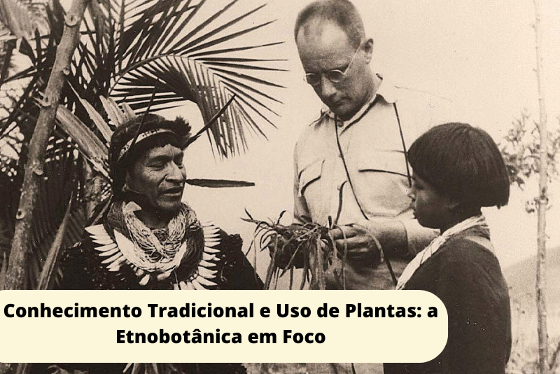 Conhecimento Tradicional e Uso de Plantas: a Etnobotânica em Foco