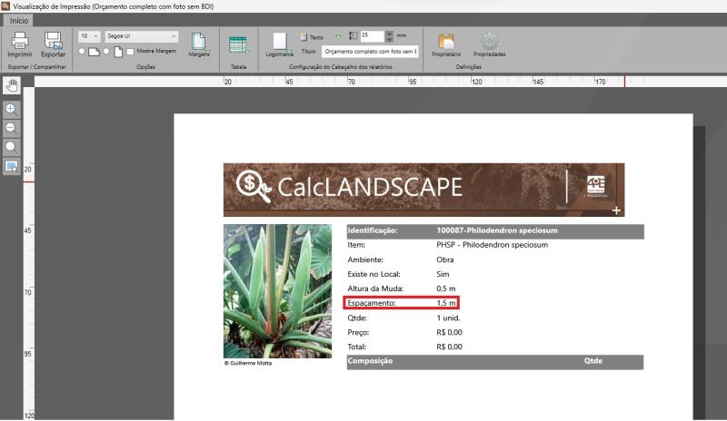 Esquema de plantio exibido em relatório gerado pelo CalcLANDSCAPE