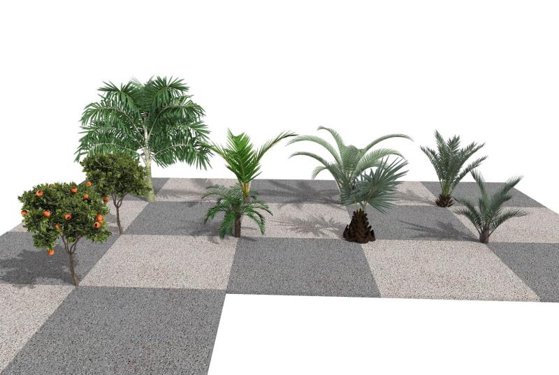 Imagem renderizada no VisualPLAN, palmeiras mudas.