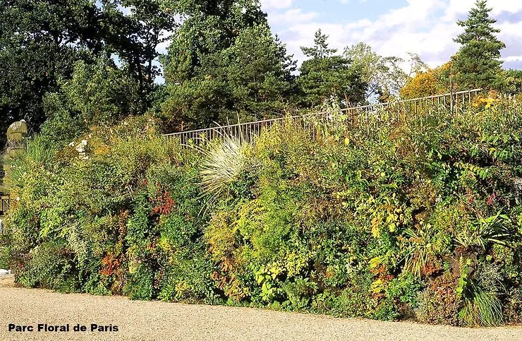  Projeto de Jardinagem Vertical por Patrick Blanc