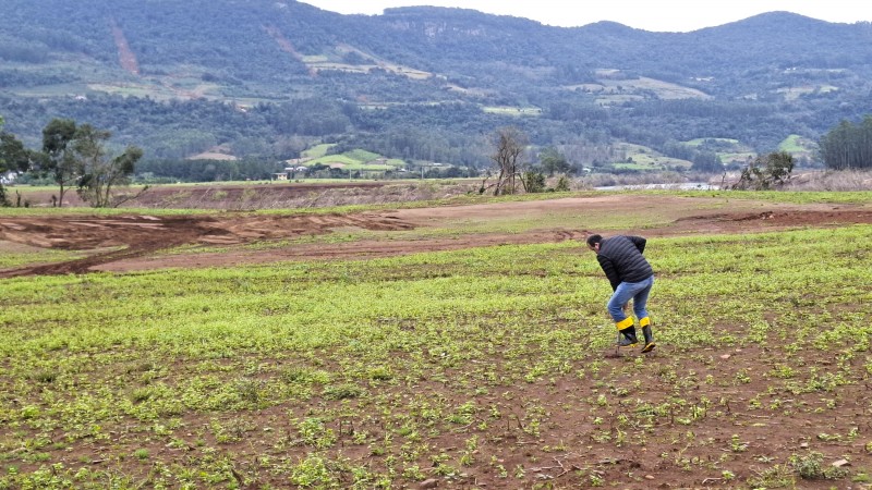  Créditos à Secretaria de Agricultura do RS