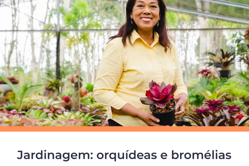 Curso de Jardinagem: Cultivo de Orquídeas e Bromélias