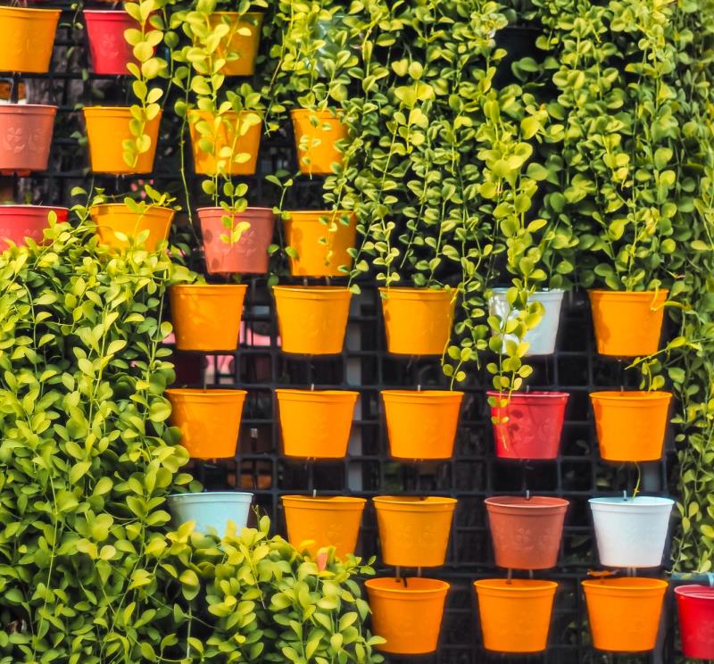  Jardim vertical com Treliças e Vasos Coloridos