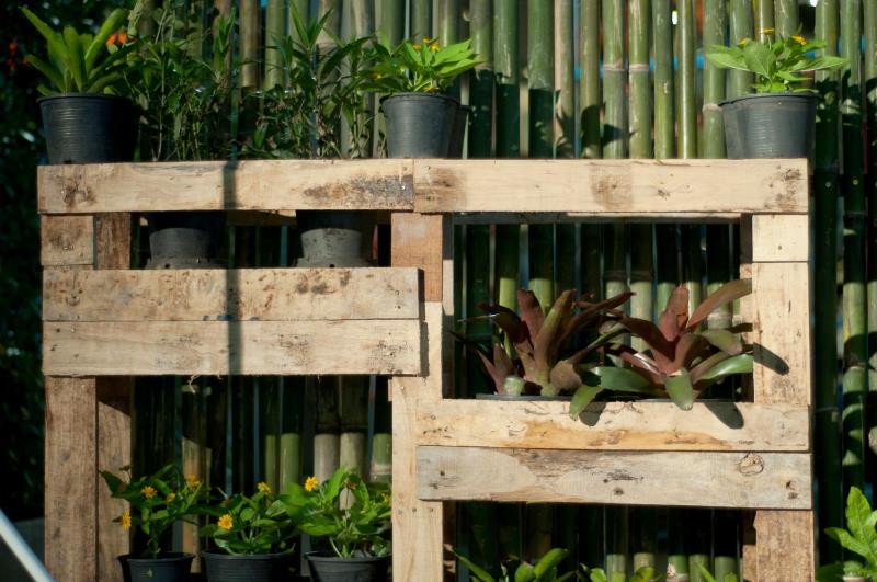  Jardim vertical com Caixotes do Tipo Pallets