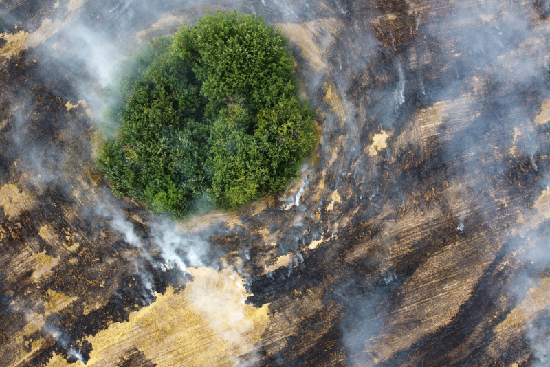 Como a arquitetura paisagística pode minimizar os efeitos das mudanças climáticas