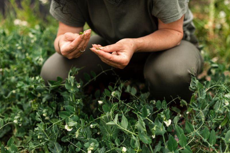 O contato humano com a natureza O contato humano com a natureza