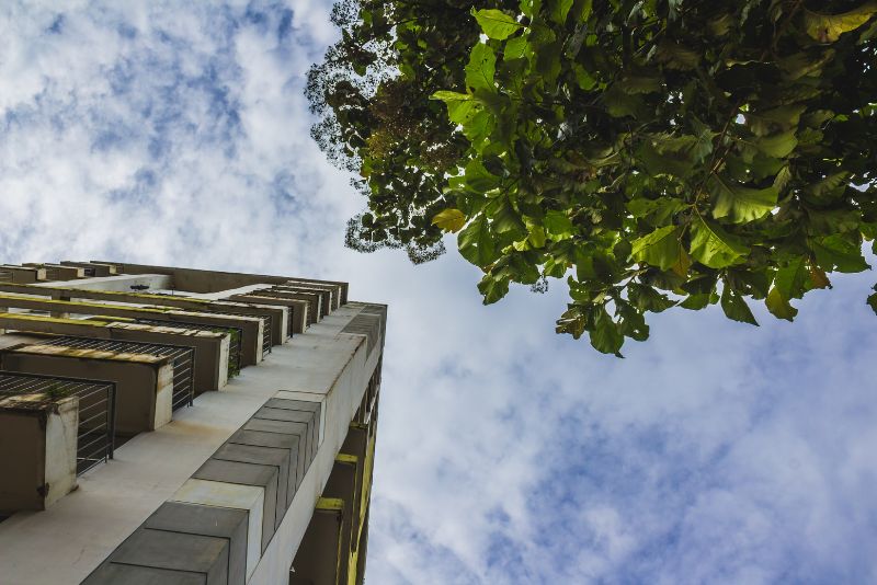  harmonia entre o urbano e a natureza
