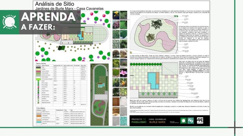 Webnário parte 1: Aprenda a criar o Jardins de Burle Marx da Casa Cavanelas