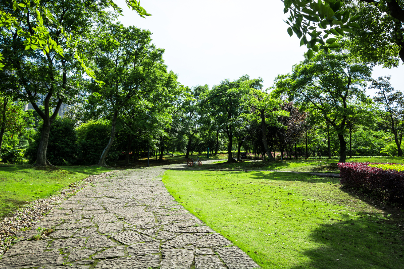 Infraestruturas Verde-Azul-Cinza: Solução Para Resfriar o Bem-Estar Urbano, Revela Estudo da USP