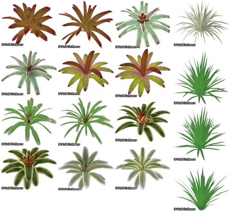 Mosaico de parte da coleção de plantas em 3D para jardins verticais