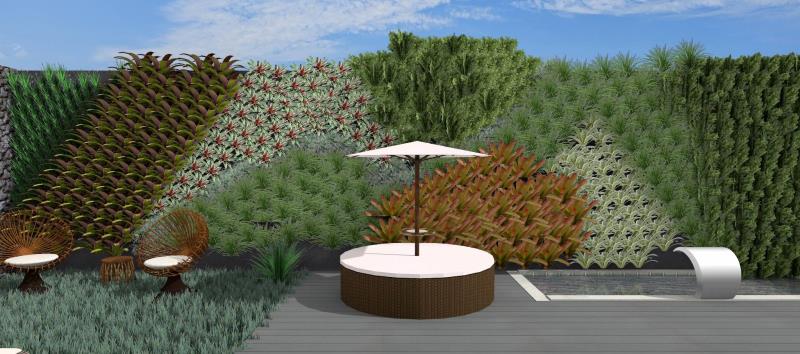 Novos Efeitos para Jardins Verticais