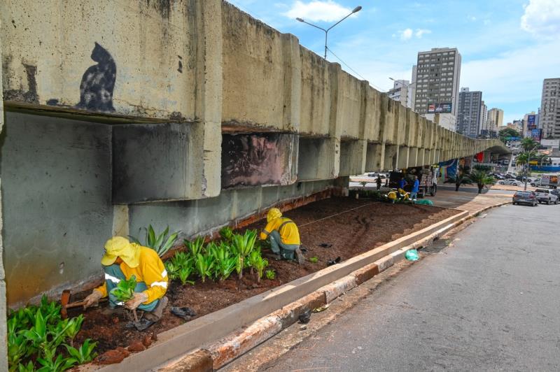 Novo paisagismo transforma Viaduto Laurão em Campinas com 500 mudas de plantas