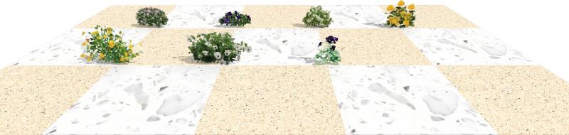 3D no VisualPLAN.